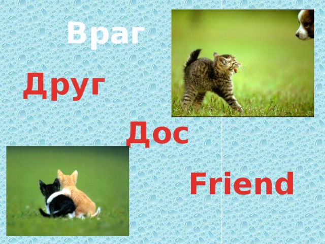 Враг Друг Дос Friend