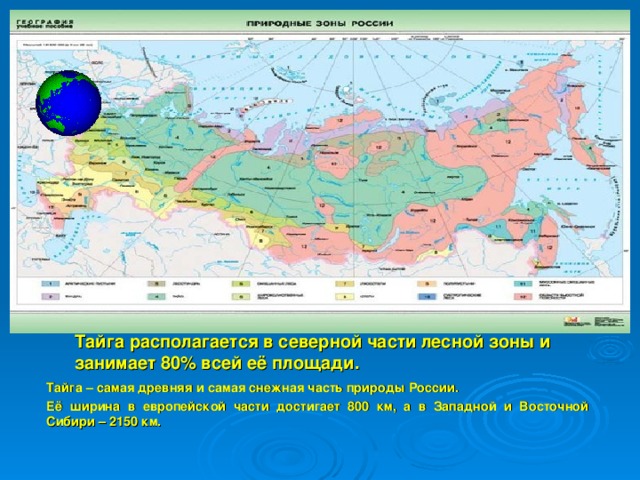 Тайга располагается в северной части лесной зоны и занимает 80% всей её площади. Тайга – самая древняя и самая снежная часть природы России. Её ширина в европейской части достигает 800 км, а в Западной и Восточной Сибири – 2150 км.