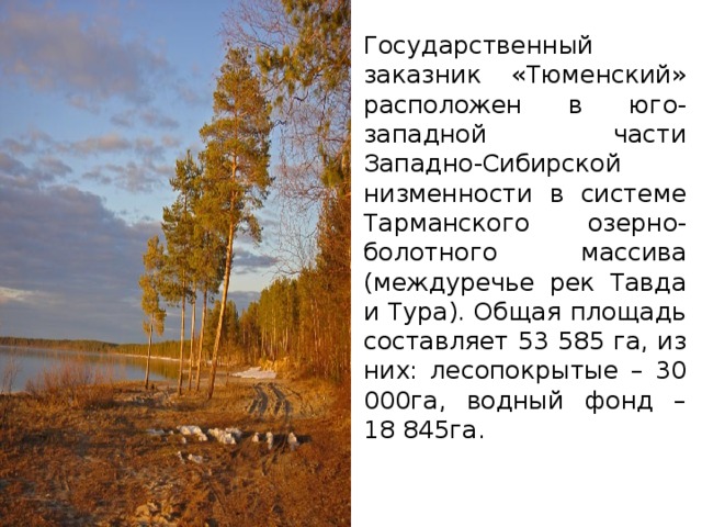 Государственный заказник «Тюменский» расположен в юго-западной части Западно-Сибирской низменности в системе Тарманского озерно-болотного массива (междуречье рек Тавда и Тура). Общая площадь составляет 53 585 га, из них: лесопокрытые – 30 000га, водный фонд – 18 845га.