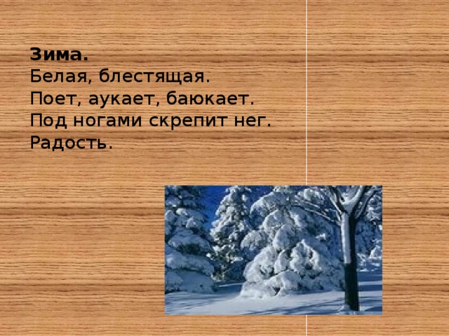 Зима.  Белая, блестящая.  Поет, аукает, баюкает.  Под ногами скрепит нег.  Радость.