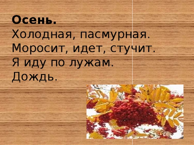 Осень.  Холодная, пасмурная.  Моросит, идет, стучит.  Я иду по лужам.  Дождь.