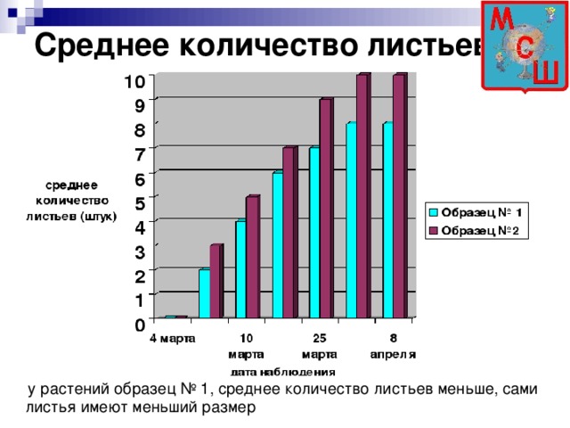 Среднее количество листьев  у растений образец № 1, среднее количество листьев меньше, сами листья имеют меньший размер