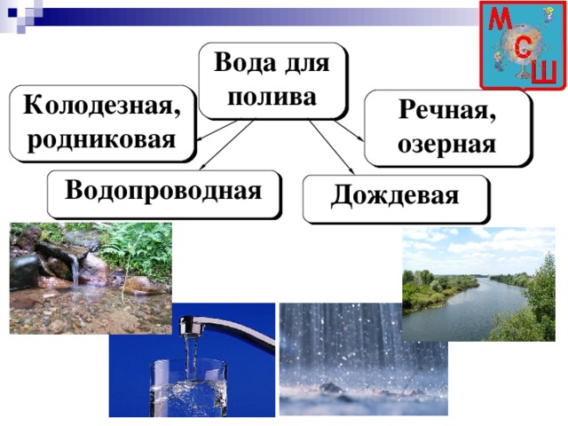 Вода для полива Колодезная, родниковая Речная, озерная  Водопроводная  Дождевая