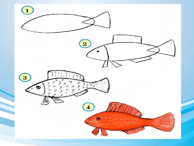 Рыба рисунок 1 класс