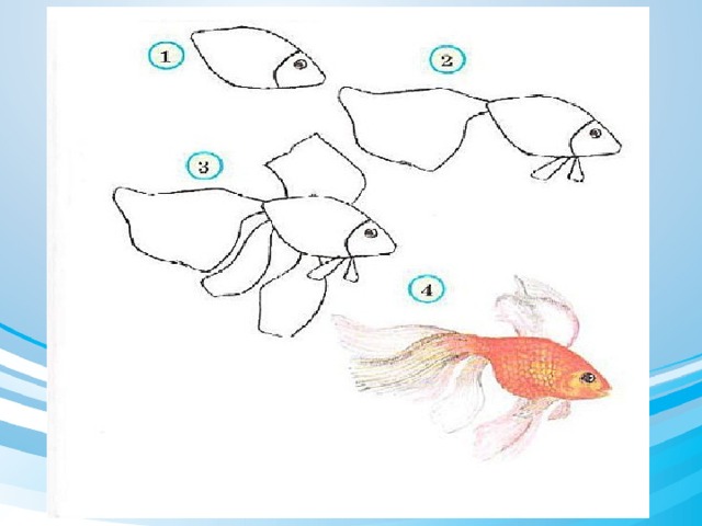 Рисунок рыбки 1 класс