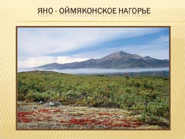 Оймяконское нагорье. Яно-Оймяконское Нагорье. Оймяконское плоскогорье. Плоскогорья дальнего Востока. Яно-Оймяконское Нагорье на карте России.