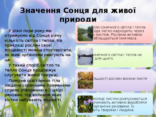 Значення Сонця для живої природи Улітку, коли сонячного світла і тепла багато, вода легко надходить через корінь до листків. Рослини активно ростуть, збільшується їхня маса. У різні пори року ми отримуємо від Сонця різну кількість світла і тепла. На прикладі рослин своєї місцевості можна спостерігати, як живі організми реагують на це. У такий спосіб світло та тепло Сонця продовжує слугувати живій природі. Помірне освітлення тіла людини сонячними променями сприяє утворенню в її шкірі речовин, під впливом яких кістки набувають міцності. Взимку сонячного світла і тепла не вистачає для цього. Тому в більшості рослин восени листя опадає. Навесні молоді листки розпускаються знову і починають активно виробляти на світлі органічні речовини. Їх споживають тварини і людина.