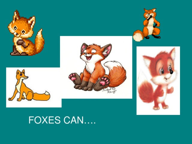 FOXES CAN….
