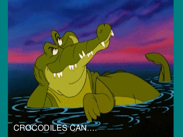 CROCODILES CAN….