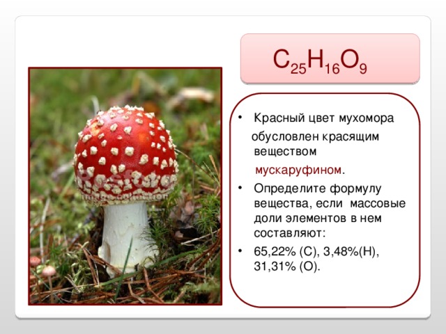 С 25 Н 16 О 9 Красный цвет мухомора  обусловлен красящим веществом  мускаруфином .