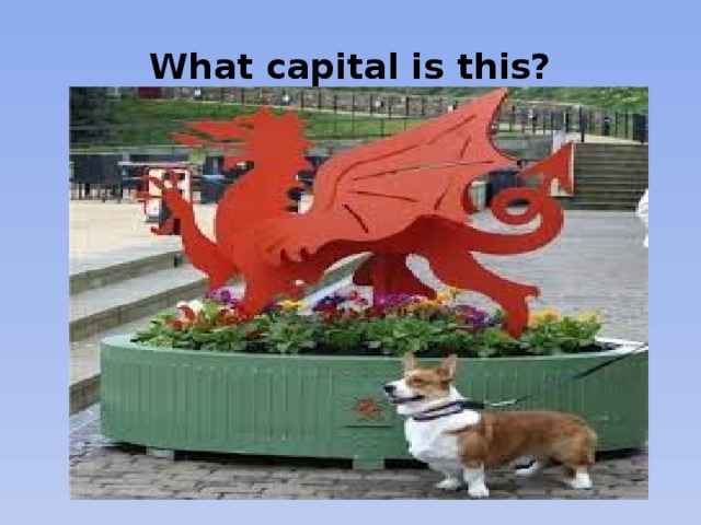 What capital is this?