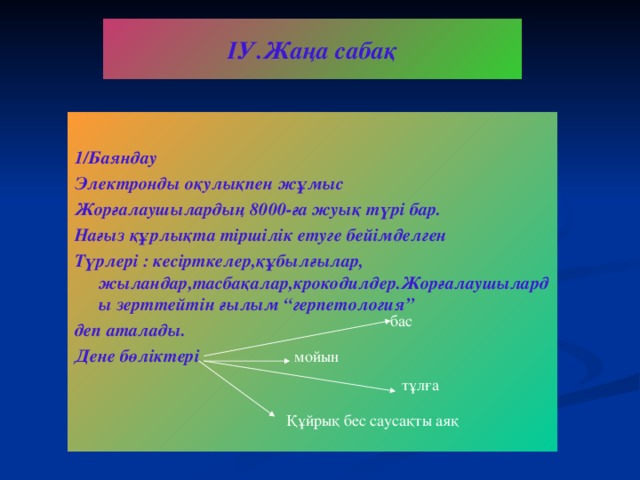 ІУ.Жаңа сабақ  1/Баяндау Электронды оқулықпен жұмыс Жорғалаушылардың 8000-ға жуық түрі бар. Нағыз құрлықта тіршілік етуге бейімделген Түрлері : кесірткелер,құбылғылар, жыландар,тасбақалар,крокодилдер.Жорғалаушыларды зерттейтін ғылым “герпетология” деп аталады. Дене бөліктері бас мойын тұлға Құйрық бес саусақты аяқ