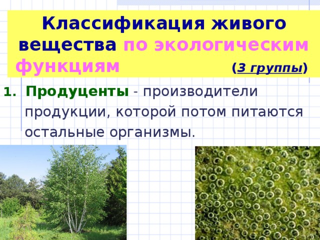 Классификация живого вещества по экологическим функциям  ( 3 группы ) 1. Продуценты  - производители продукции, которой потом питаются остальные организмы .