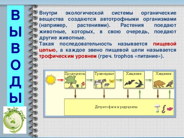 В Ы В О Д Ы Внутри экологической системы органические вещества создаются автотрофными организмами (например, растениями). Растения поедают животные, которых, в свою очередь, поедают другие животные. Такая последовательность называется пищевой цепью , а каждое звено пищевой цепи называется трофическим уровнем (греч. trophos «питание»).