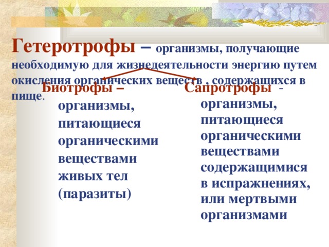 Гетеротрофы – организмы, получающие необходимую для жизнедеятельности энергию путем окисления органических веществ , содержащихся в пище . Биотрофы –  организмы, питающиеся органическими веществами живых тел (паразиты) Сапротрофы - организмы, питающиеся органическими веществами содержащимися в испражнениях, или  мертвыми организмами