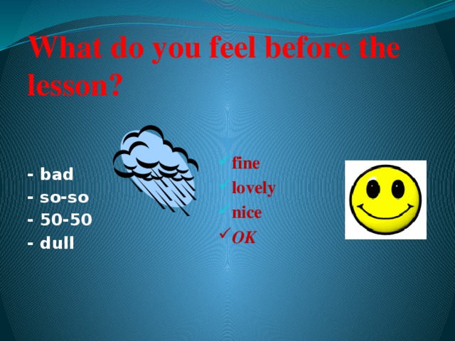 What do you feel before the lesson? - bad - so-so - 50-50 - dull fine lovely nice OK