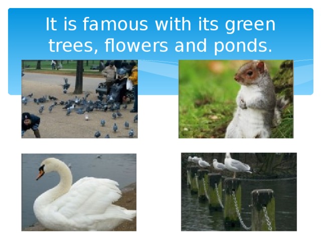 It is famous with its green trees, flowers and ponds.