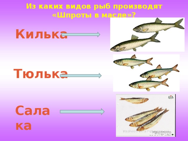 Из каких видов рыб производят «Шпроты в масле»?   Килька Тюлька Салака