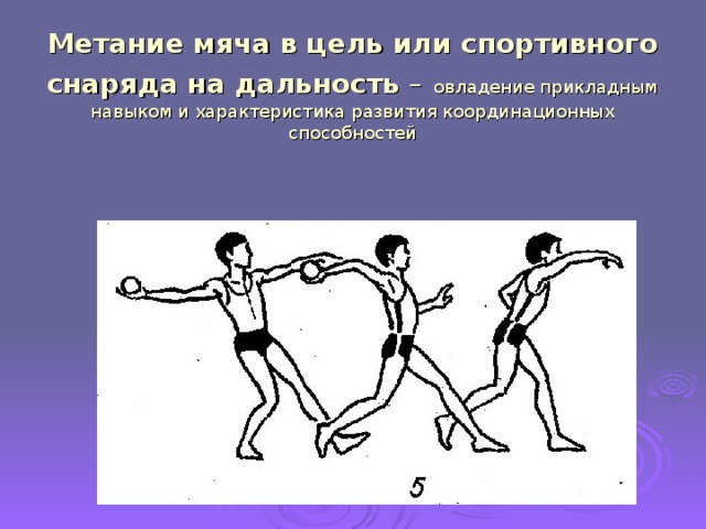 Метание мяча в цель или спортивного снаряда на дальность –  овладение прикладным навыком и характеристика развития координационных способностей