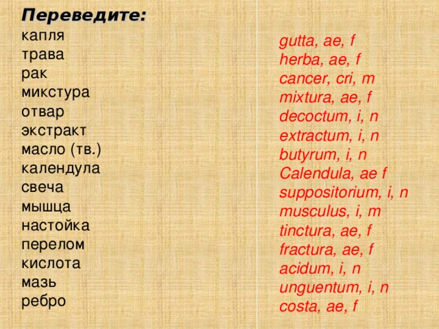 Переведите: капля      трава      рак      микстура     отвар      экстракт     масло ( тв .)      календула     свеча      мышца     настойка     перелом     кислота     мазь      ребро     gutta, ae, f herba , ae , f  cancer, cri, m mixtura, ae, f decoctum, i, n extractum, i, n butyrum, i, n С alendula, ae f suppositorium, i, n musculus, i, m tinctur a , ae, f  fractura , ae , f  acidum, i, n unguentum, i, n costa, ae, f