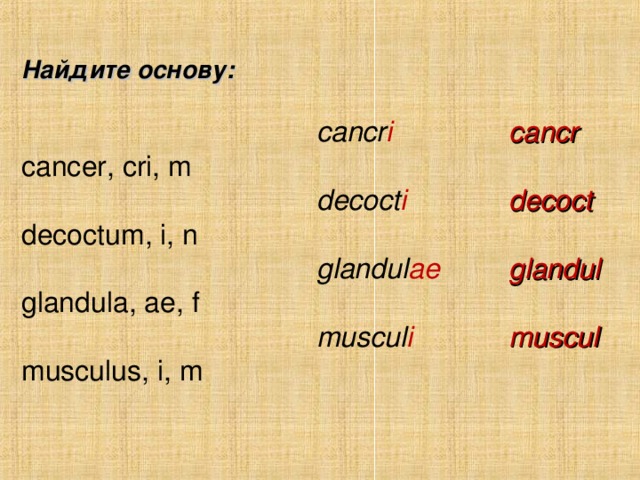 Найдите основу: cancer, cri, m decoctum, i, n glandula, ae, f musculus, i, m cancr i    cancr  decoct i   decoct glandul ae   glandul muscul i   muscul