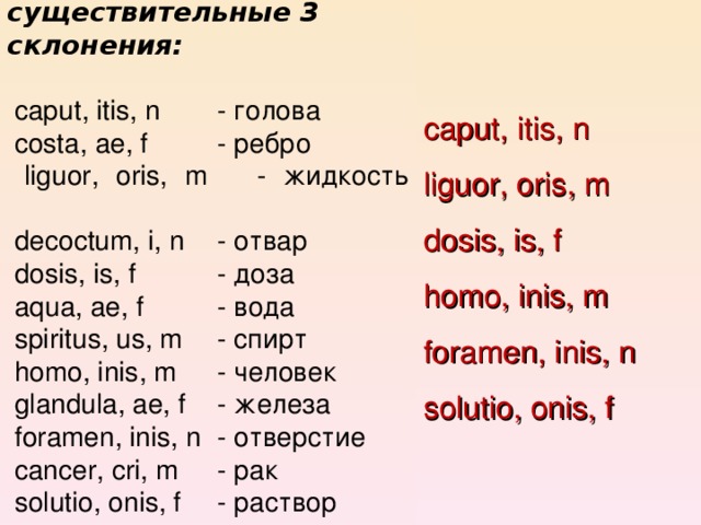 Выберите и запишите существительные 3 склонения:  caput , itis , n   - голова  costa , ae , f  - ребро  liguor, oris, m  - жидкость   decoctum, i, n  - отвар  dosis, is, f   - доза   aqua, ae, f   - вода  spiritus, us, m  - спирт   homo, inis, m  - человек  glandula, ae, f  - железа  foramen, inis, n  - отверстие   cancer, cri, m  - рак   solutio, onis, f  - раствор caput , itis , n  liguor, oris, m dosis, is, f homo, inis, m foramen, inis, n solutio, onis, f