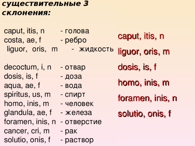 Существительные заканчивающиеся на ло. Существительные 3 го склонения в латинском языке.