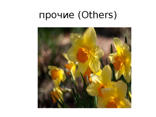 прочие (Others)