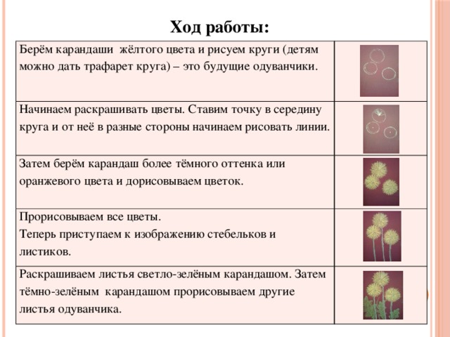 Ход работы: Берём карандаши жёлтого цвета и рисуем круги (детям можно дать трафарет круга) – это будущие одуванчики. Начинаем раскрашивать цветы. Ставим точку в середину круга и от неё в разные стороны начинаем рисовать линии. Затем берём карандаш более тёмного оттенка или оранжевого цвета и дорисовываем цветок. Прорисовываем все цветы. Теперь приступаем к изображению стебельков и листиков. Раскрашиваем листья светло-зелёным карандашом. Затем тёмно-зелёным карандашом прорисовываем другие листья одуванчика.