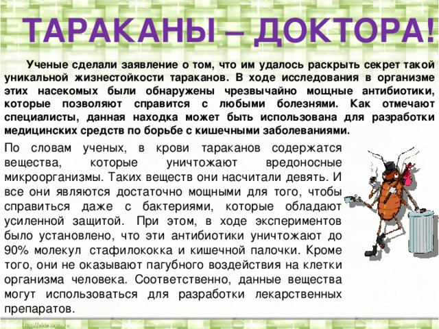 ТАРАКАНЫ – ДОКТОРА!  Ученые сделали заявление о том, что им удалось раскрыть секрет такой уникальной жизнестойкости тараканов. В ходе исследования в организме этих насекомых были обнаружены чрезвычайно мощные антибиотики, которые позволяют справится с любыми болезнями. Как отмечают специалисты, данная находка может быть использована для разработки медицинских средств по борьбе с кишечными заболеваниями. По словам ученых, в крови тараканов содержатся вещества, которые уничтожают вредоносные микроорганизмы. Таких веществ они насчитали девять. И все они являются достаточно мощными для того, чтобы справиться даже с бактериями, которые обладают усиленной защитой.  При этом, в ходе экспериментов было установлено, что эти антибиотики уничтожают до 90% молекул  стафилококка и кишечной палочки. Кроме того, они не оказывают пагубного воздействия на клетки организма человека. Соответственно, данные вещества могут использоваться для разработки лекарственных препаратов.