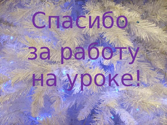 Спасибо за работу на уроке!