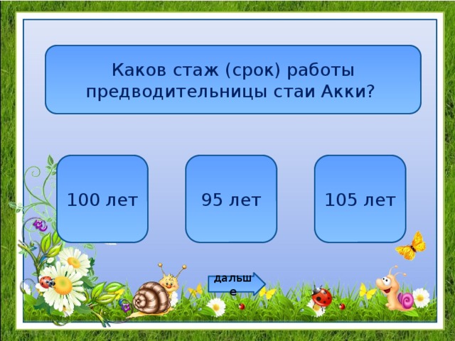 Каков стаж (срок) работы предводительницы стаи Акки? 100 лет 95 лет 105 лет дальше