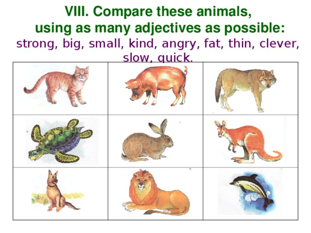 VIII. Compare these animals,  using as many adjectives as possible: strong, big, small, kind, angry, fat, thin, clever, slow, quick.