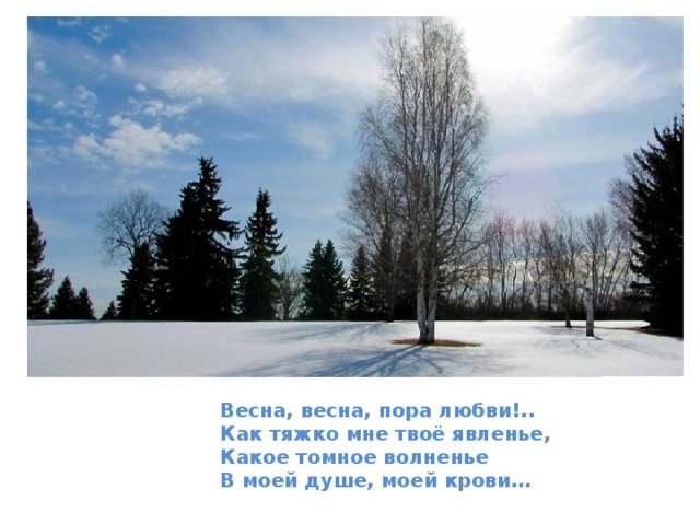 Весна, весна, пора любви!.. Как тяжко мне твоё явленье, Какое томное волненье В моей душе, моей крови…   А.С.Пушкин