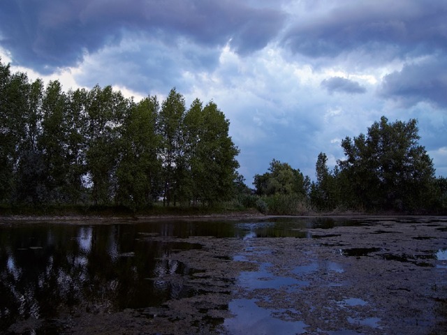                                                                                                                                                                                            Похожие картинки Тихий ветер. Вечер сине-хмурый Тихий  ветер . Вечер сине-хмурый. http://www.tmfoto.ru/photo/123684.php  Открыть 1200×797
