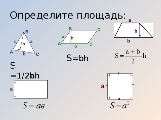 Определите площадь: S =bh S =1/2bh