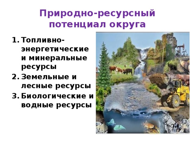 Ресурсы 8 класс. Природно-ресурсный потенциал. Природно-ресурсный потенциал округа. Природно-ресурсный потенциал Калининградской области. Природные ресурсы биологические Минеральные и энергетические.