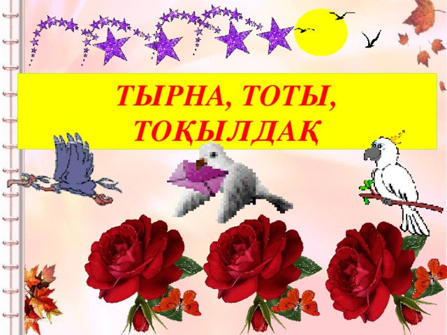 Тырна, Тоты, Тоқылдақ