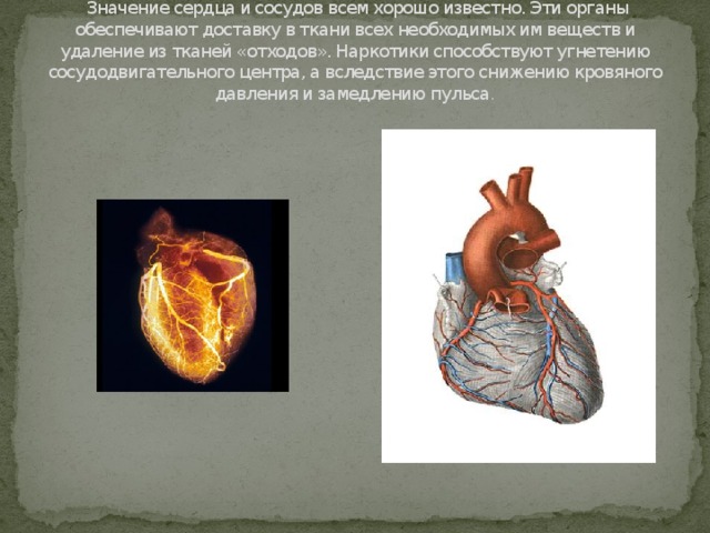 Как влияют наркотики на сердце человека script tor browser hydraruzxpnew4af