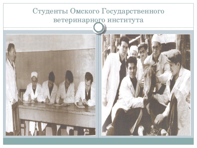 Студенты Омского Государственного ветеринарного института