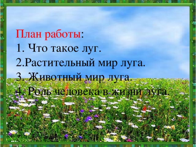 План работы : 1. Что такое луг. 2.Растительный мир луга. 3. Животный мир луга. 4. Роль человека в жизни луга.