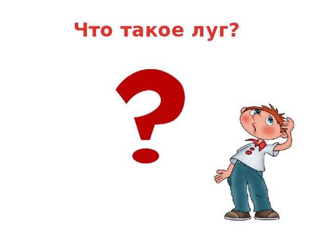 Что такое луг?