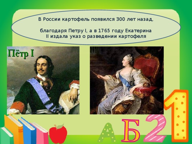 В России картофель появился 300 лет назад,  благодаря Петру I, а в 1765 году Екатерина II издала указ о разведении картофеля