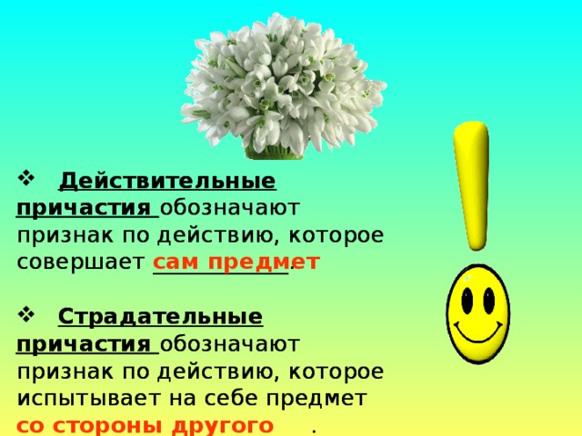 Действительные причастия обозначают. Причастие обозначает признак предмета по действию. Действительные причастия обозначают признак по действию который. Предметы которые обозначают причастия. Причастия обозначают признак предмета по действию совершаемому.