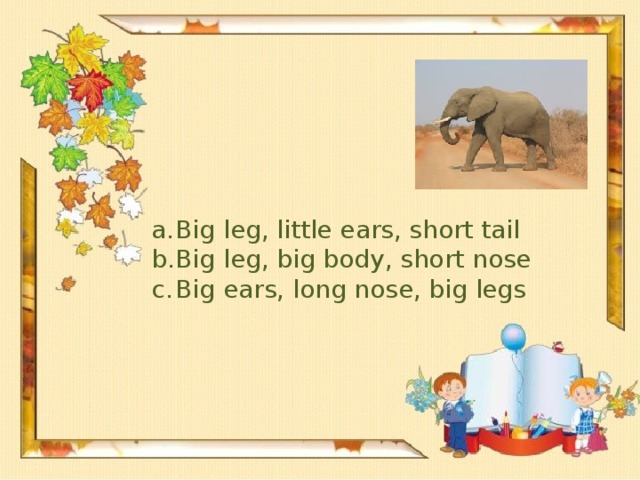 Big leg, little ears, short tail Big leg, big body, short nose Big ears, long nose, big legs