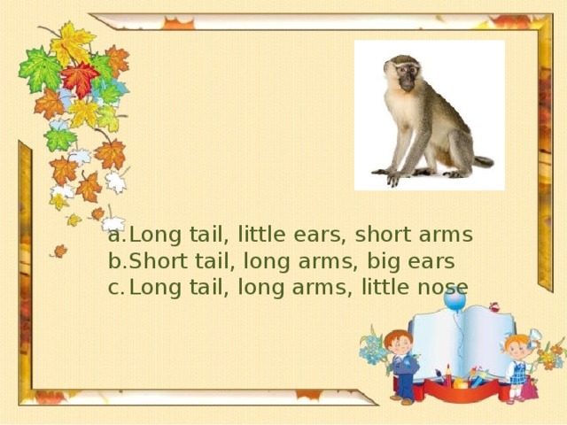 Long tail, little ears, short arms Short tail, long arms, big ears Long tail, long arms, little nose