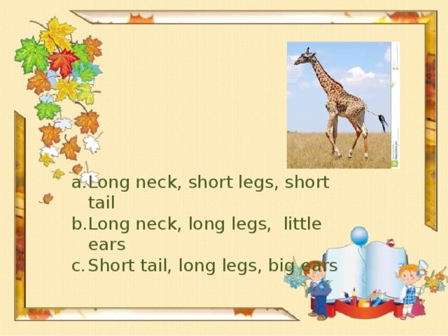 Long neck, short legs, short tail Long neck, long legs, little ears Short tail, long legs, big ears