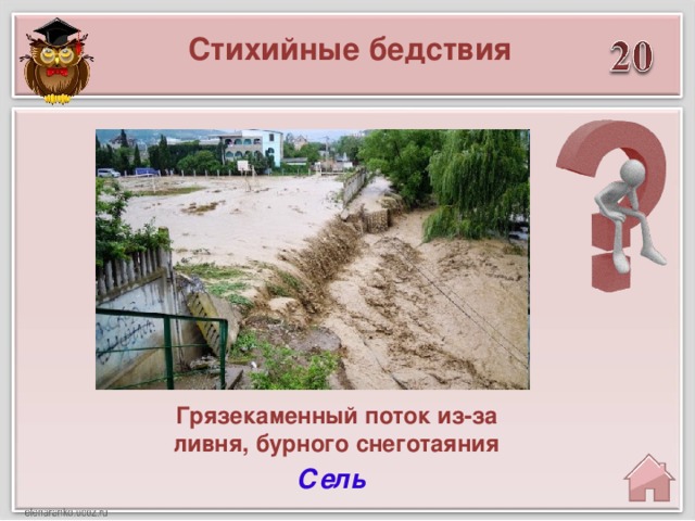 Стихийные бедствия Грязекаменный поток из-за ливня, бурного снеготаяния Сель