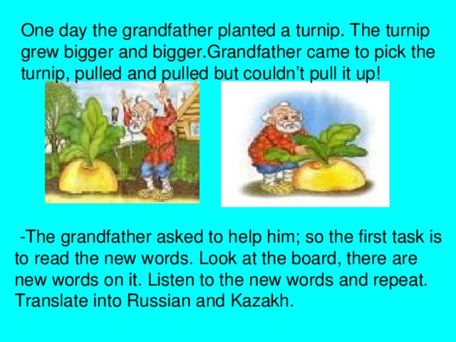 One day the grandfather planted a turnip. The turnip grew bigger and bigger.Grandfather came to pick the turnip, pulled and pulled but couldn’t pull it up!  -The grandfather asked to help him; so the first task is  to read the new words. Look at the board, there are  new words on it. Listen to the new words and repeat.  Translate into Russian and Kazakh.