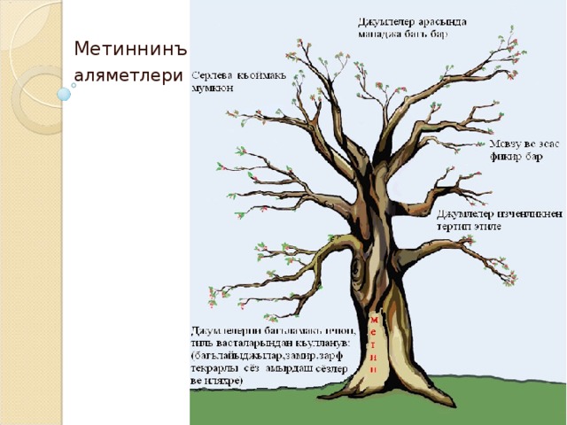 Метиннинъ аляметлери